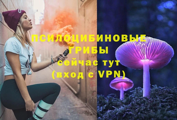 прущий лед Верея