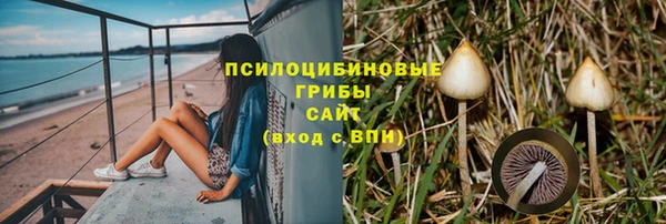 прущий лед Верея