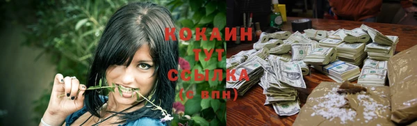 таблы Бородино
